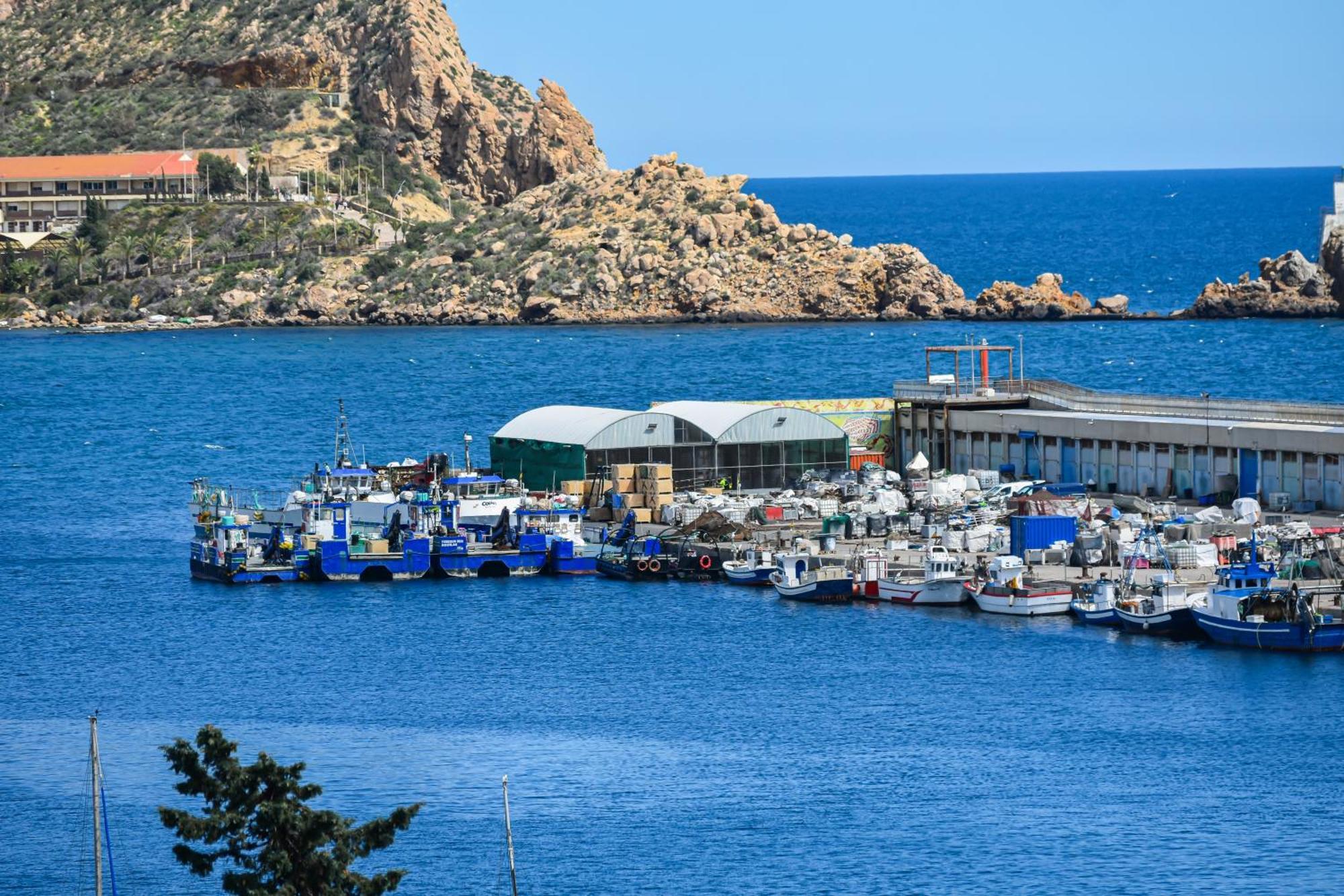 Dream View Aguilas - By Aloha Palma Kültér fotó