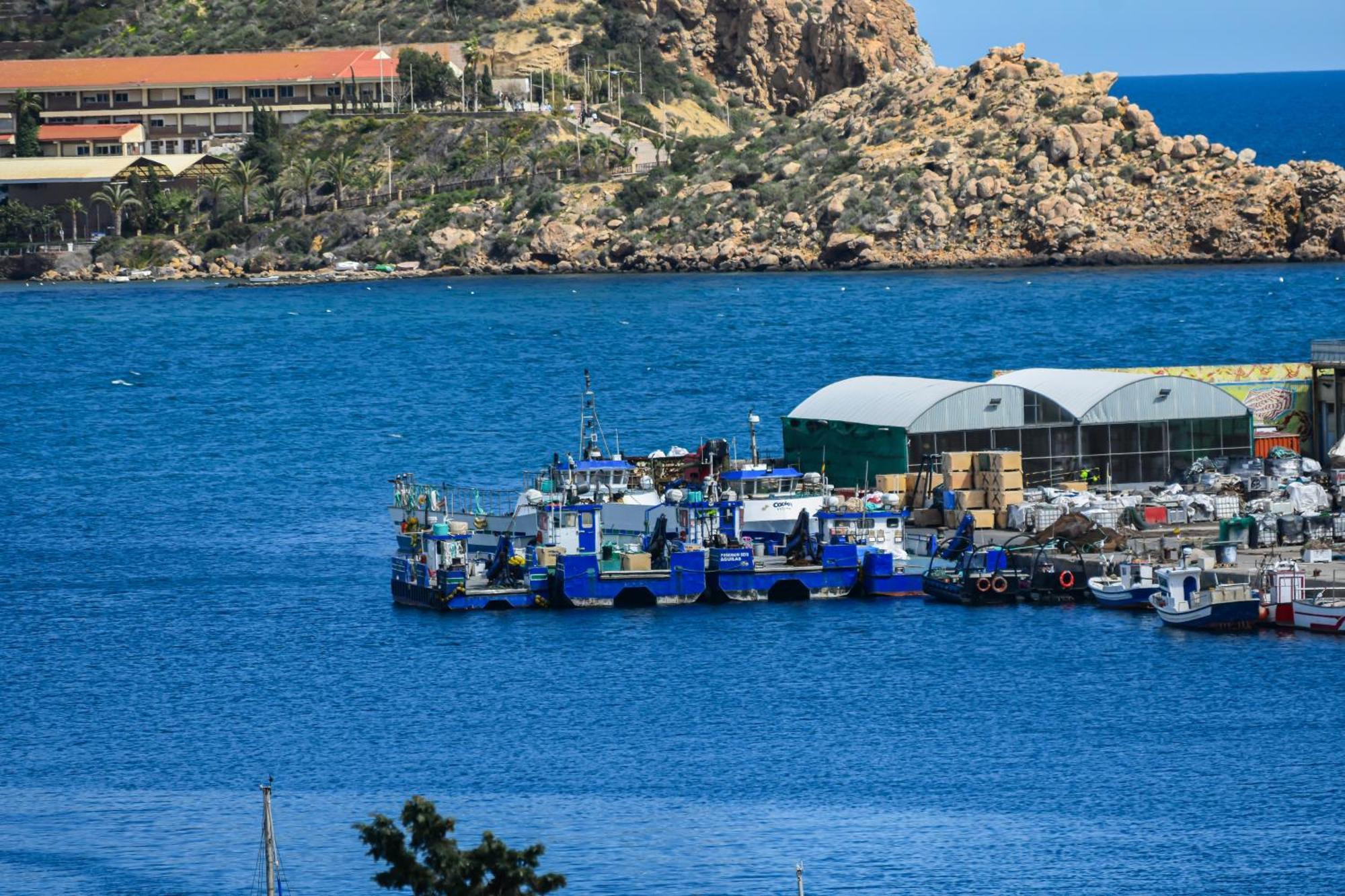 Dream View Aguilas - By Aloha Palma Kültér fotó
